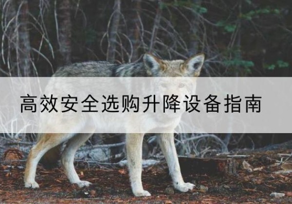 宜阳升降货梯厂家推荐-*安全选购升降设备指南