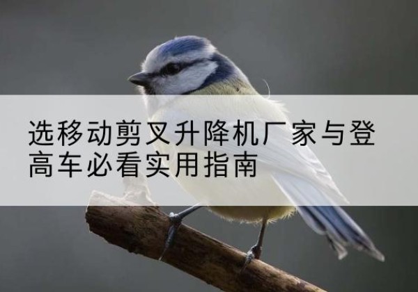 宜阳电动升降机厂家-选移动剪叉升降机厂家与登高车必看实用指南