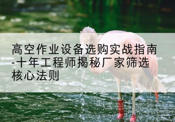 宜阳剪叉式升降机厂家-高空作业设备选购实战指南-十年工程师揭秘厂家筛选核心法则